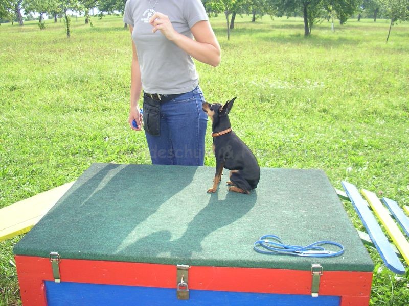 Uschi s Vormittagsgruppe0032 i Uschi s Vormittagsgruppe0032 i