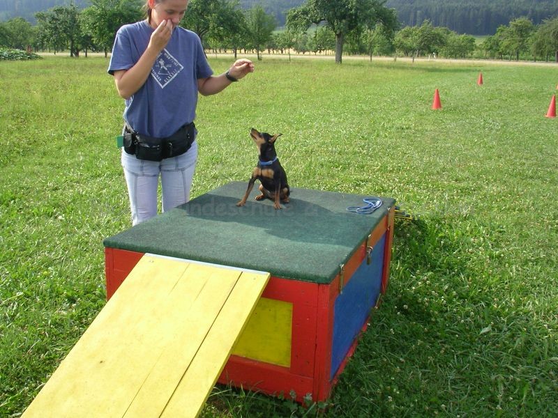 Uschi s Vormittagsgruppe0034 i Uschi s Vormittagsgruppe0034 i