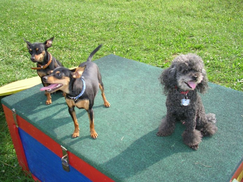 Uschi s Vormittagsgruppe0040 i Uschi s Vormittagsgruppe0040 i