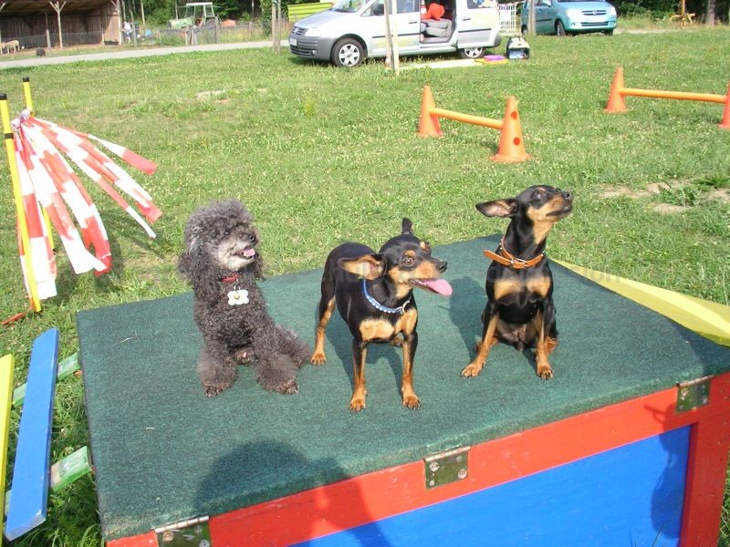 Uschi s Vormittagsgruppe0041 i Uschi s Vormittagsgruppe0041 i