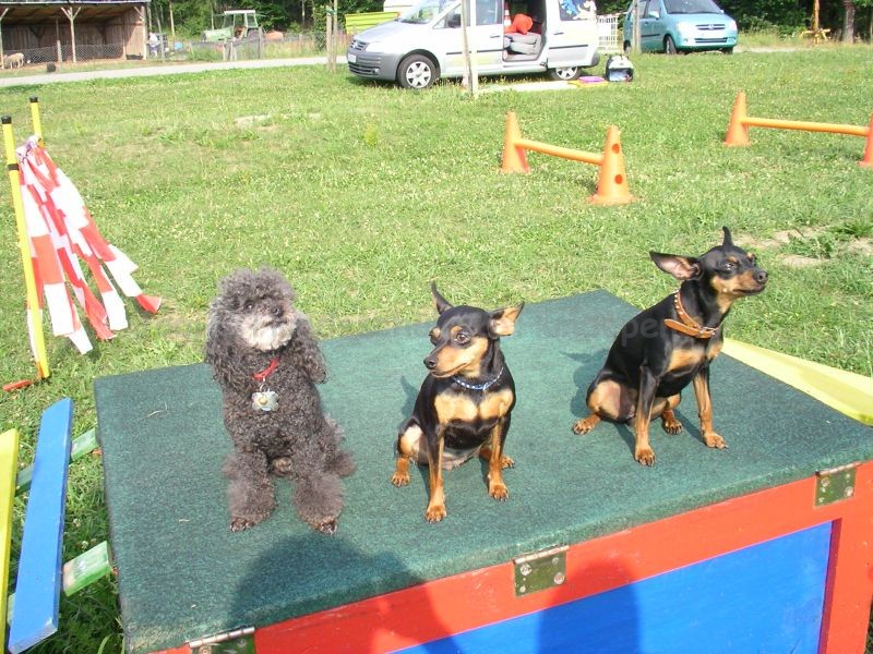 Uschi s Vormittagsgruppe0043 i Uschi s Vormittagsgruppe0043 i