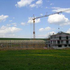 Halle gestellt0008